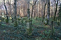 Rostoczek 11.2008 404